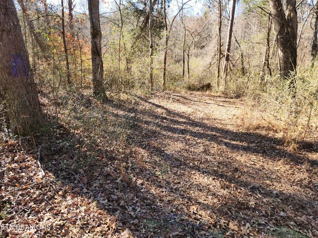 Creek Rd, Sweetwater, TN 37874