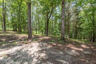 0 Frank Lary Road, Northport, AL 35475
