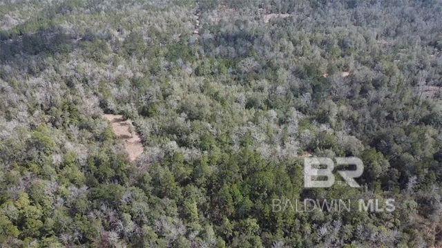 0 Chunchula Georgetown Road, Chunchula, AL 36521