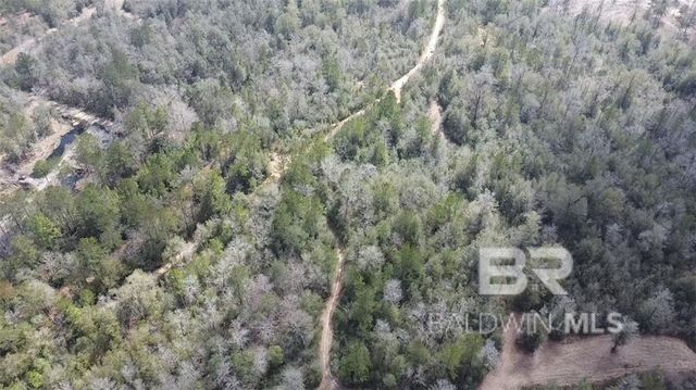 0 Chunchula Georgetown Road, Chunchula, AL 36521