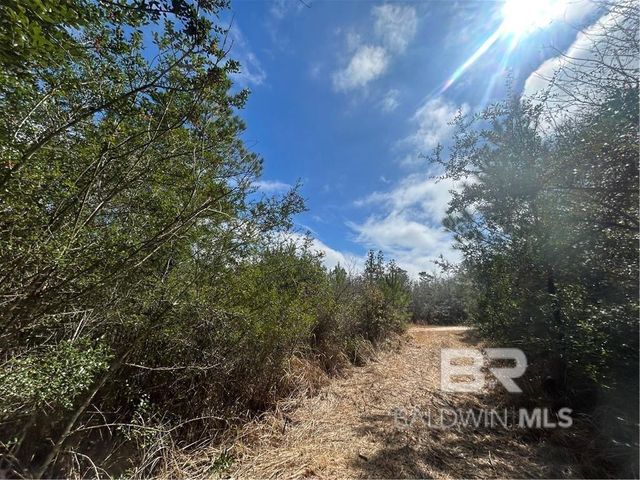 0 Chunchula Georgetown Road, Chunchula, AL 36521