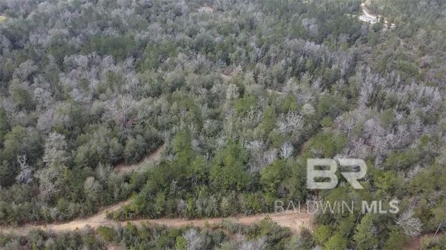 0 Chunchula Georgetown Road, Chunchula, AL 36521