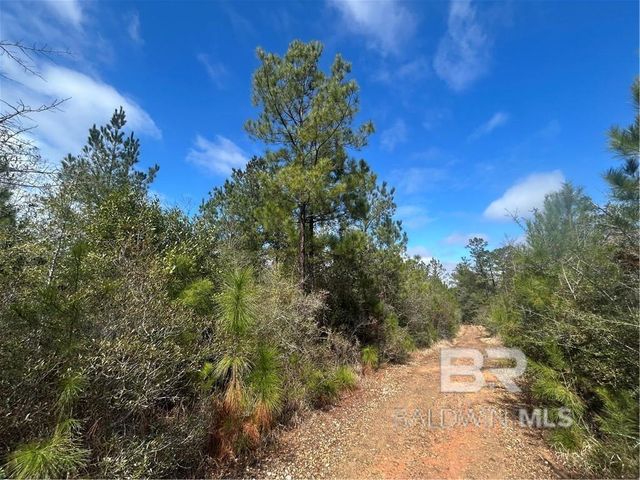 0 Chunchula Georgetown Road, Chunchula, AL 36521