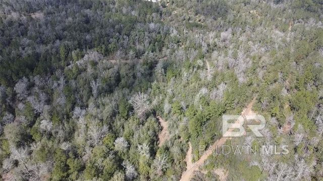 0 Chunchula Georgetown Road, Chunchula, AL 36521