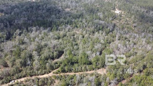 0 Chunchula Georgetown Road, Chunchula, AL 36521