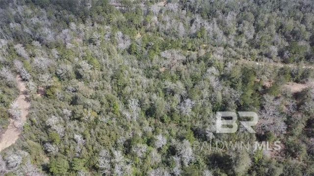 0 Chunchula Georgetown Road, Chunchula, AL 36521