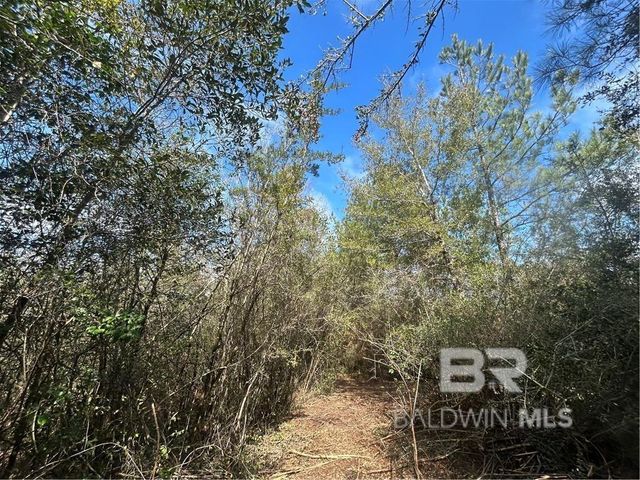 0 Chunchula Georgetown Road, Chunchula, AL 36521