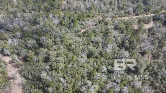 0 Chunchula Georgetown Road, Chunchula, AL 36521