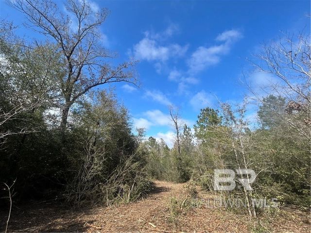 0 Chunchula Georgetown Road, Chunchula, AL 36521