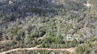 0 Chunchula Georgetown Road, Chunchula, AL 36521