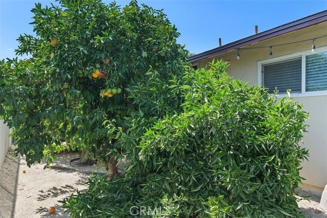 4117 Bel Air, Riverside, CA 92503