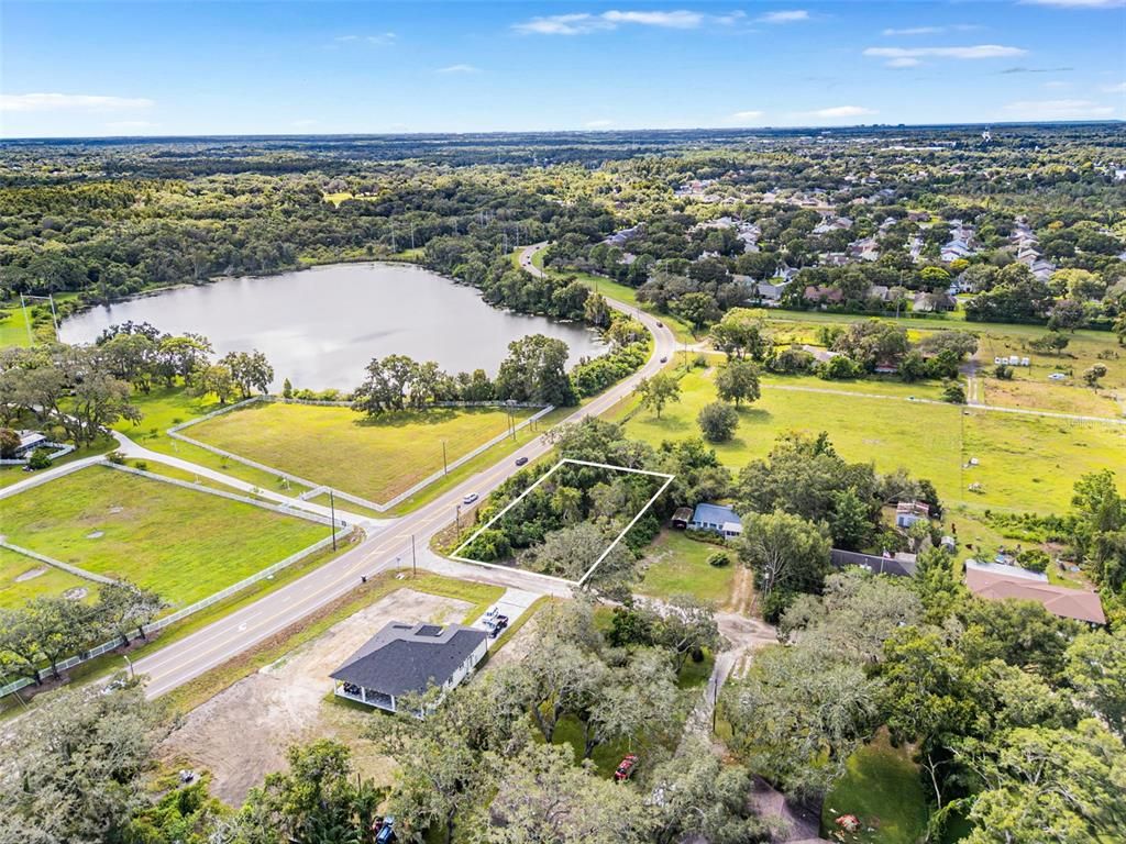 16713 KODI LANE, Odessa, FL 33556
