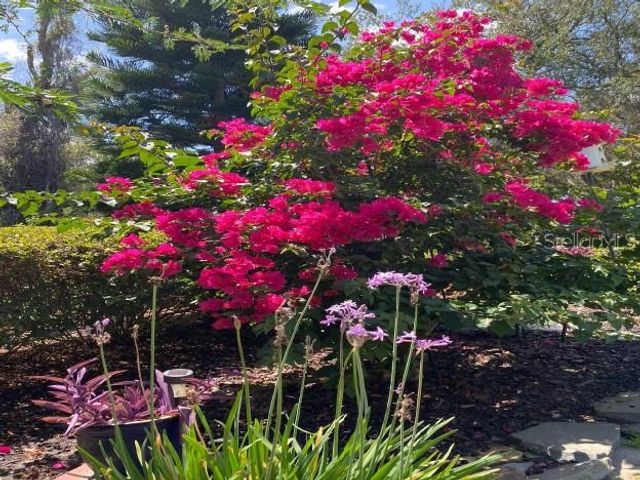 1305 CAROLINA COURT, The Villages, FL 32162