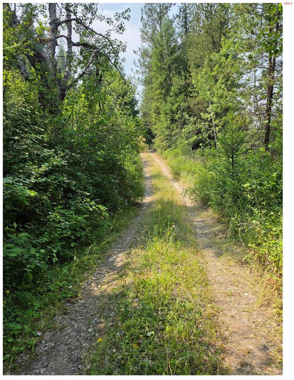 NNA HWY 20 & McCloud Creek, Newport, WA 99156 photo 5