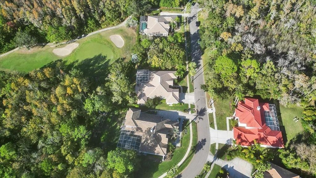 Image 82 of property listing at 9814 EMERALD LINKS DRIVE, Tampa, FL 33626