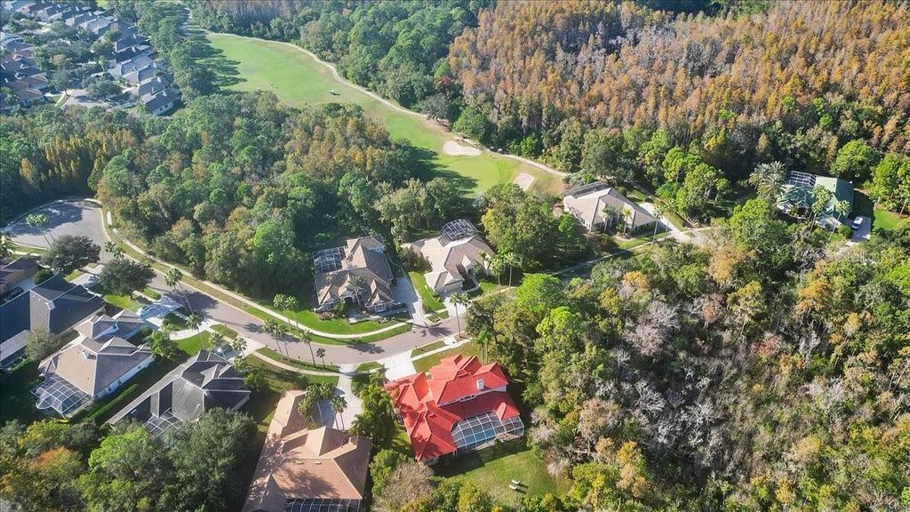 Image 83 of property listing at 9814 EMERALD LINKS DRIVE, Tampa, FL 33626