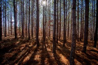 0 Mayfield Divide Rd, Centerville, TN 37033