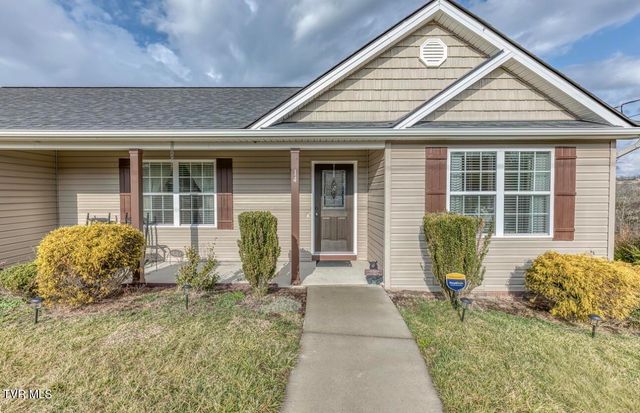 14 Kenzee Place, Limestone, TN 37681