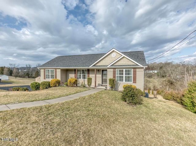 14 Kenzee Place, Limestone, TN 37681