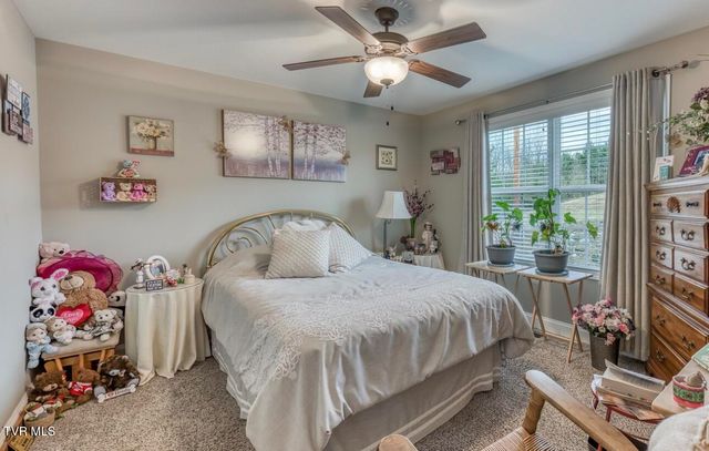 14 Kenzee Place, Limestone, TN 37681