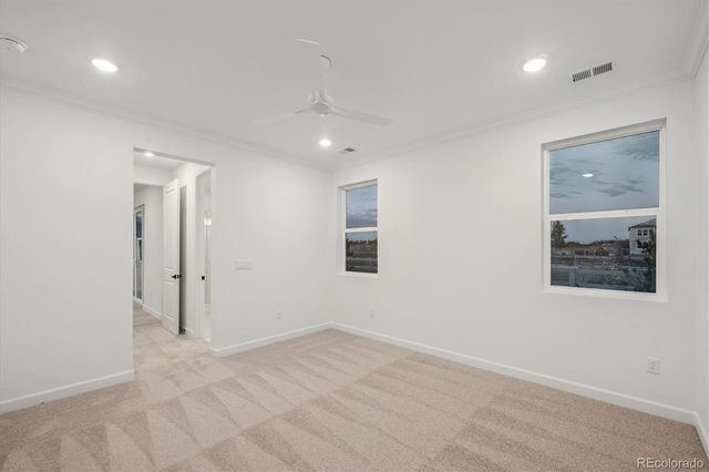 904 Steppe Lane, Windsor, CO 80550