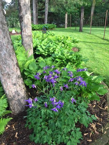 414 Woodview Drive, Sun Prairie, WI 53590