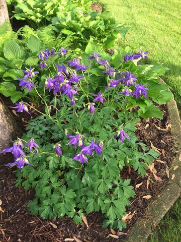 414 Woodview Drive, Sun Prairie, WI 53590