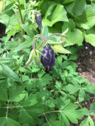 414 Woodview Drive, Sun Prairie, WI 53590