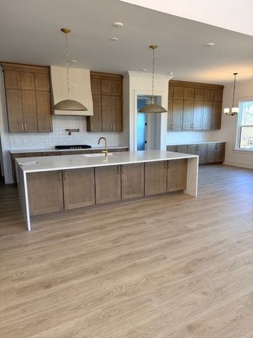 5001 Fairhaven Cir, Thompsons Station, TN 37179