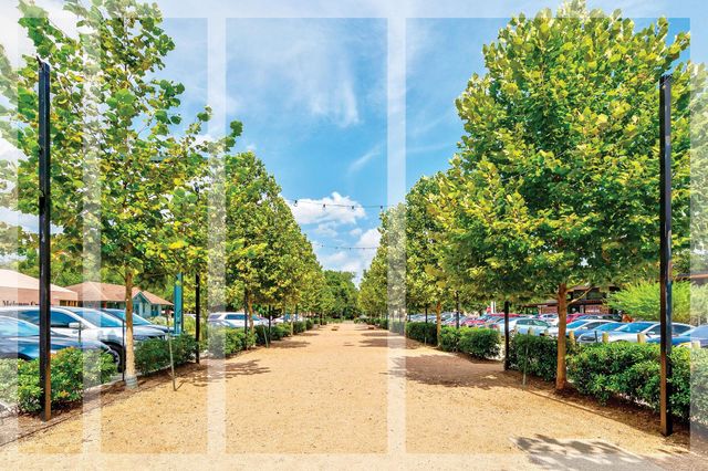 739 Dorothy Street, Houston, TX 77007