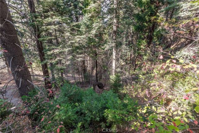 529 West Victoria Court, Lake Arrowhead, CA 92352