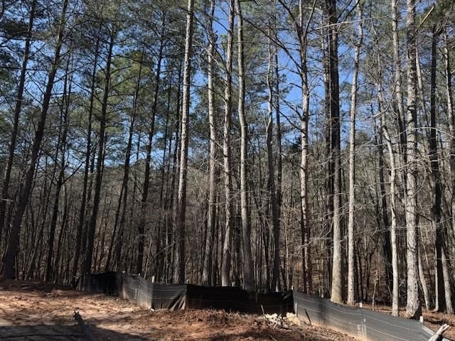 2121 Highway 101 N, Dallas, GA 30157