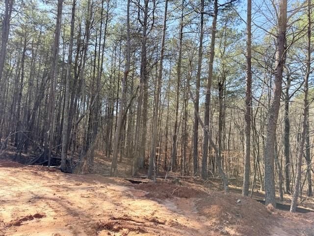 2121 Highway 101 N, Dallas, GA 30157