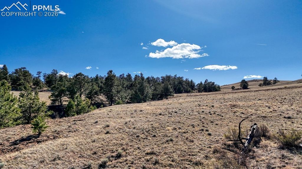 L5090L5097 Arikara Trail, Hartsel, CO 80449 — exterior