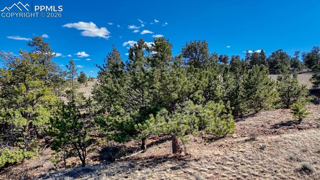 L5090L5097 Arikara Trail, Hartsel, CO 80449 — photo 2