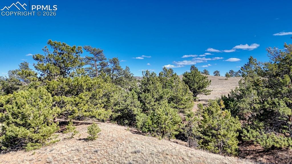 L5090L5097 Arikara Trail, Hartsel, CO 80449 — photo 3