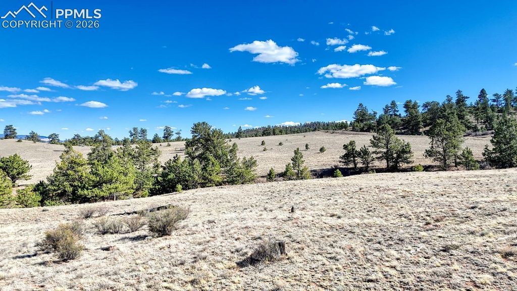 L5090L5097 Arikara Trail, Hartsel, CO 80449 — photo 4