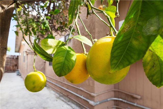 208 W 234th, Carson, CA 90745