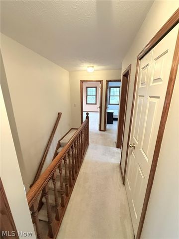 8160 Buckboard Lane, Mentor, OH 44060