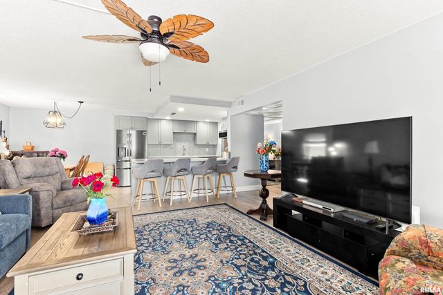 906 W Loire Ct Apt 2A, Peoria, IL 61614