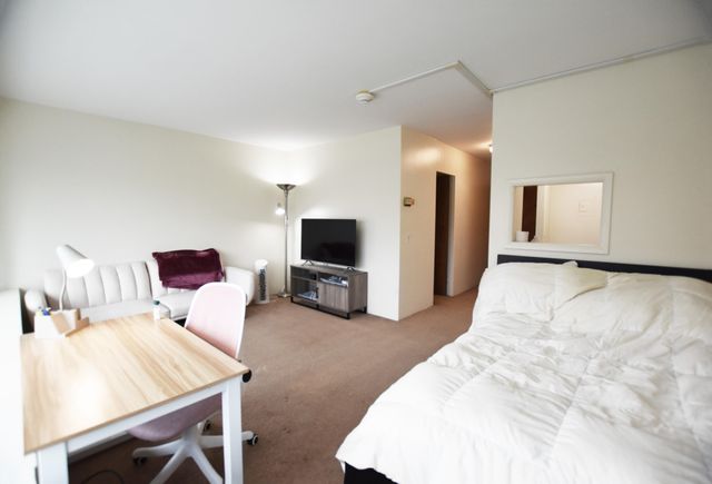 555 E William Street 4H, Ann Arbor, MI 48104