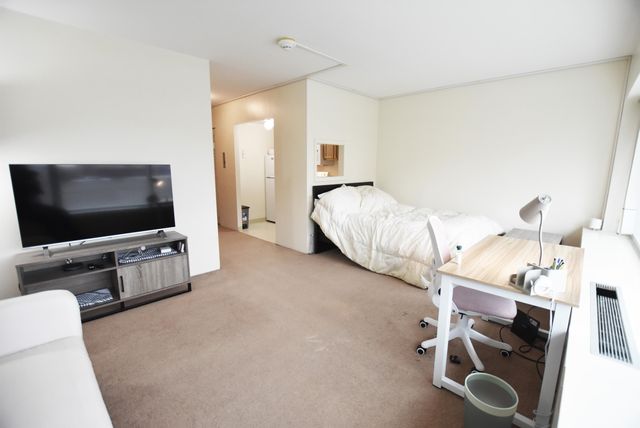 555 E William Street 4H, Ann Arbor, MI 48104