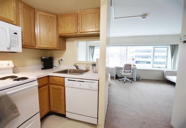 555 E William Street 4H, Ann Arbor, MI 48104