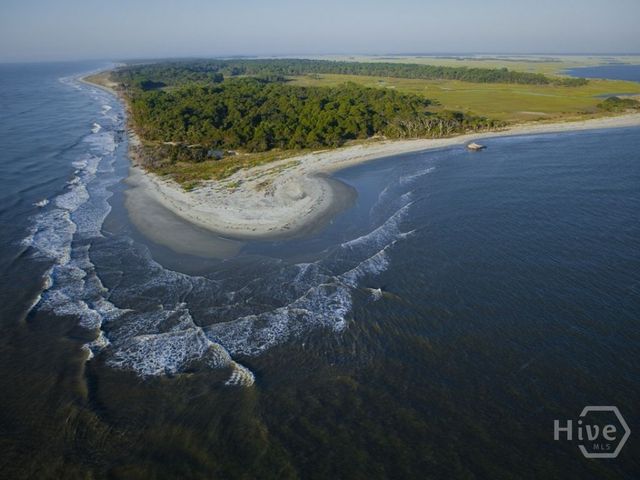 482 Enclave Drive, Richmond Hill, GA 31324