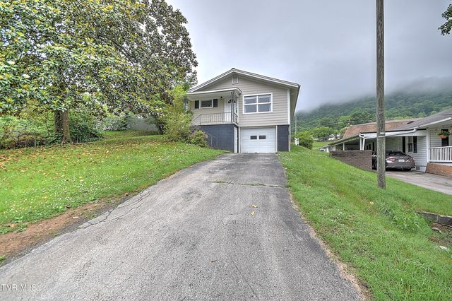 166 Reading Road, Weber City, VA 24290