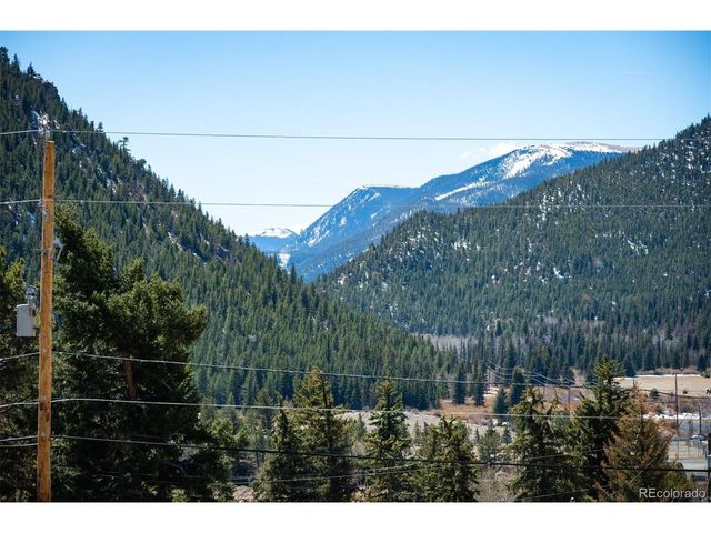 4 Sunny Ave, Empire, CO 80438