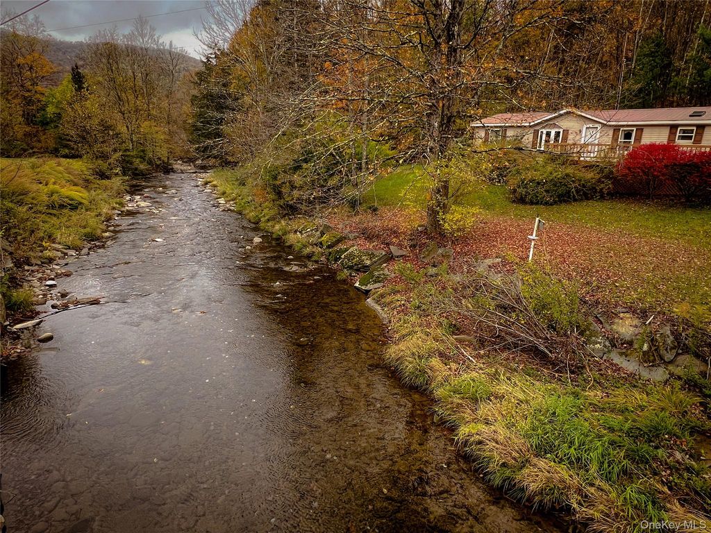 509 Burnwood Road, East Branch, NY 13756