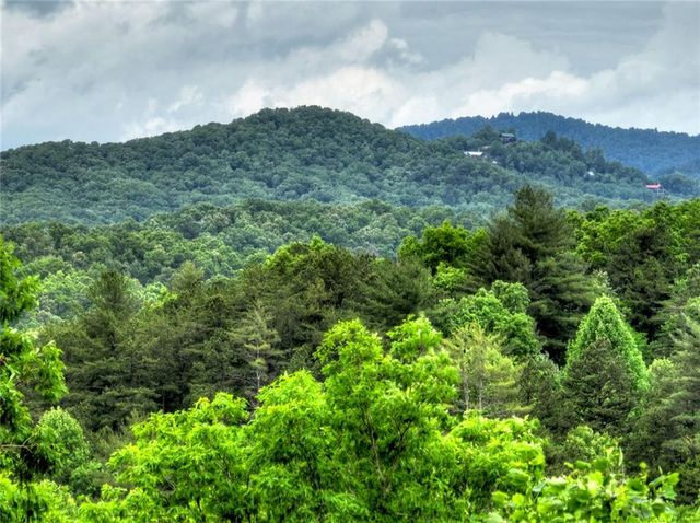 287 Rhonda Lane, Mineral Bluff, GA 30559