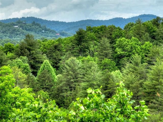 287 Rhonda Lane, Mineral Bluff, GA 30559