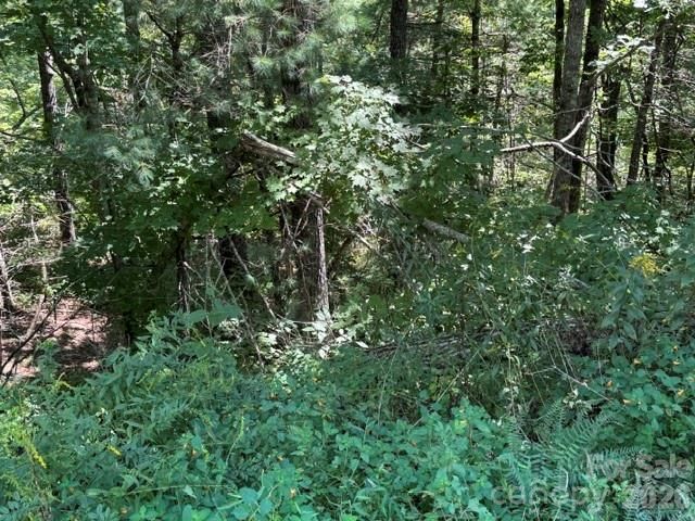 TBD Jarvis Drive, Hendersonville, NC 28792